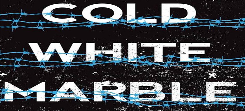 Cold White Marble: the next Divergent or Hunger Games? image