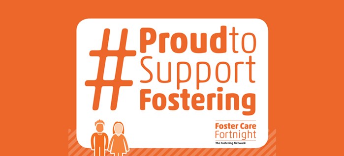 Foster Care Fortnight 2017 image